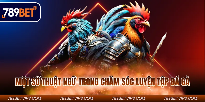 Một số thuật ngữ trong chăm sóc luyện tập đá gà