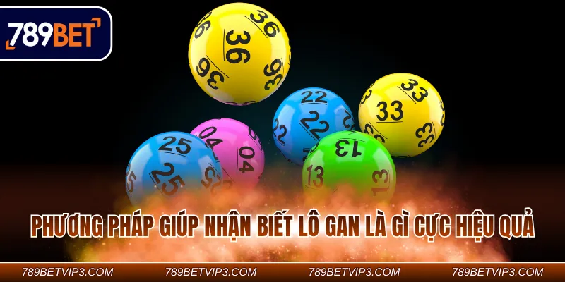 Phương pháp giúp nhận biết lô gan là gì cực hiệu quả